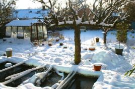 ADVERTORIAL// Grădina de iarnă: treburi casnice şi planuri de viitor