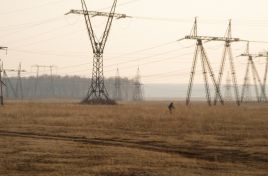 Localnicii unei Întovărăşiri Pomicole din Soroca nu vor mai achita TVA de 20% pentru energia electrică livrată