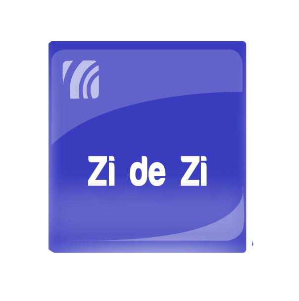 Zi de zi