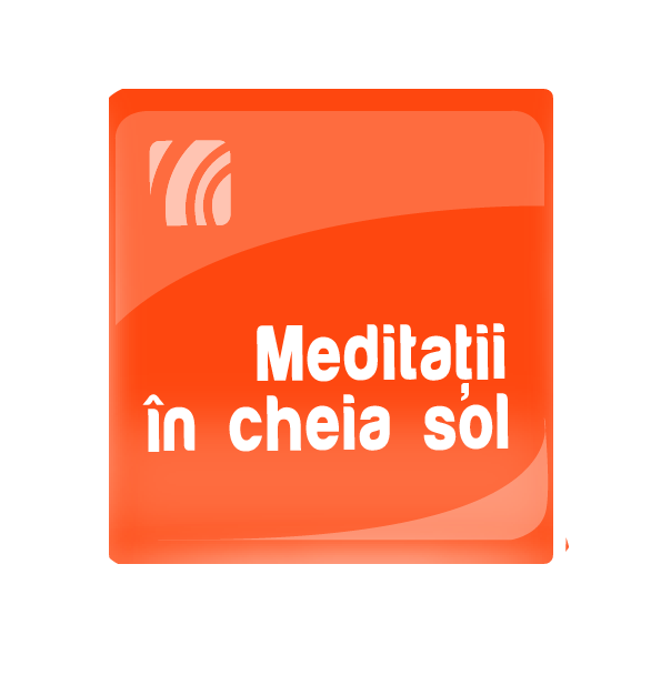 Meditaţii în cheia sol