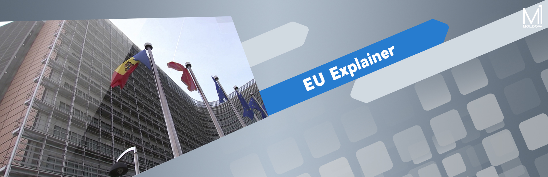 EU Explainer: Politica externă, Delegaţia UE