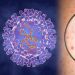 Primul caz de variola maimuţei, înregistrat în Republica Moldova