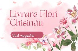 ADVERTORIAL // Flori cu livrare în Chişinău – surpriza care schimbă ziua
